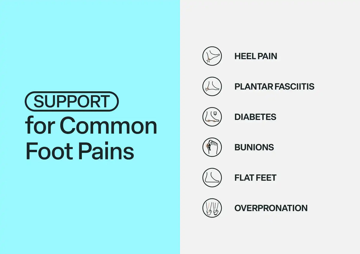 Cozi - Chestnut
